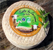 Tommette de Brebis BIO 35% MG - Monts de Lacaune